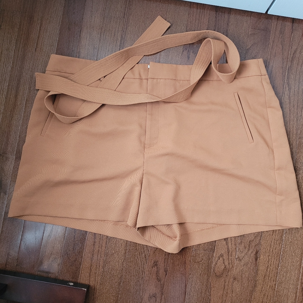 Nine West Shorts Belted Flat front Plus Size 2X